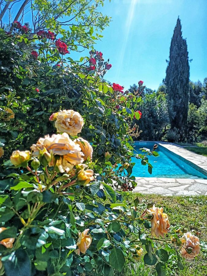 Willa Les Jardins De Foata Barbaggio Zewnętrze zdjęcie