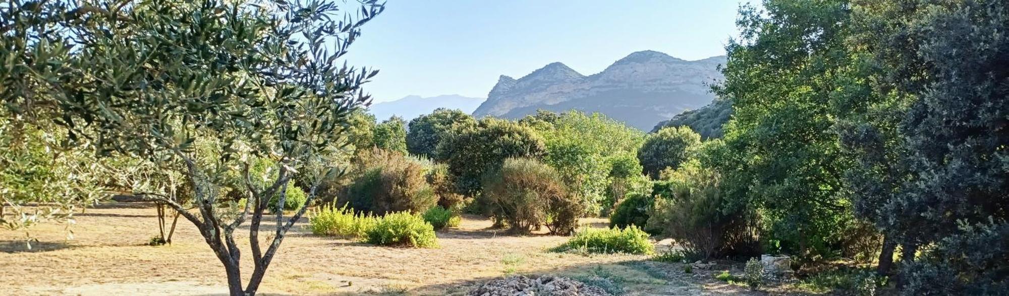 Willa Les Jardins De Foata Barbaggio Zewnętrze zdjęcie