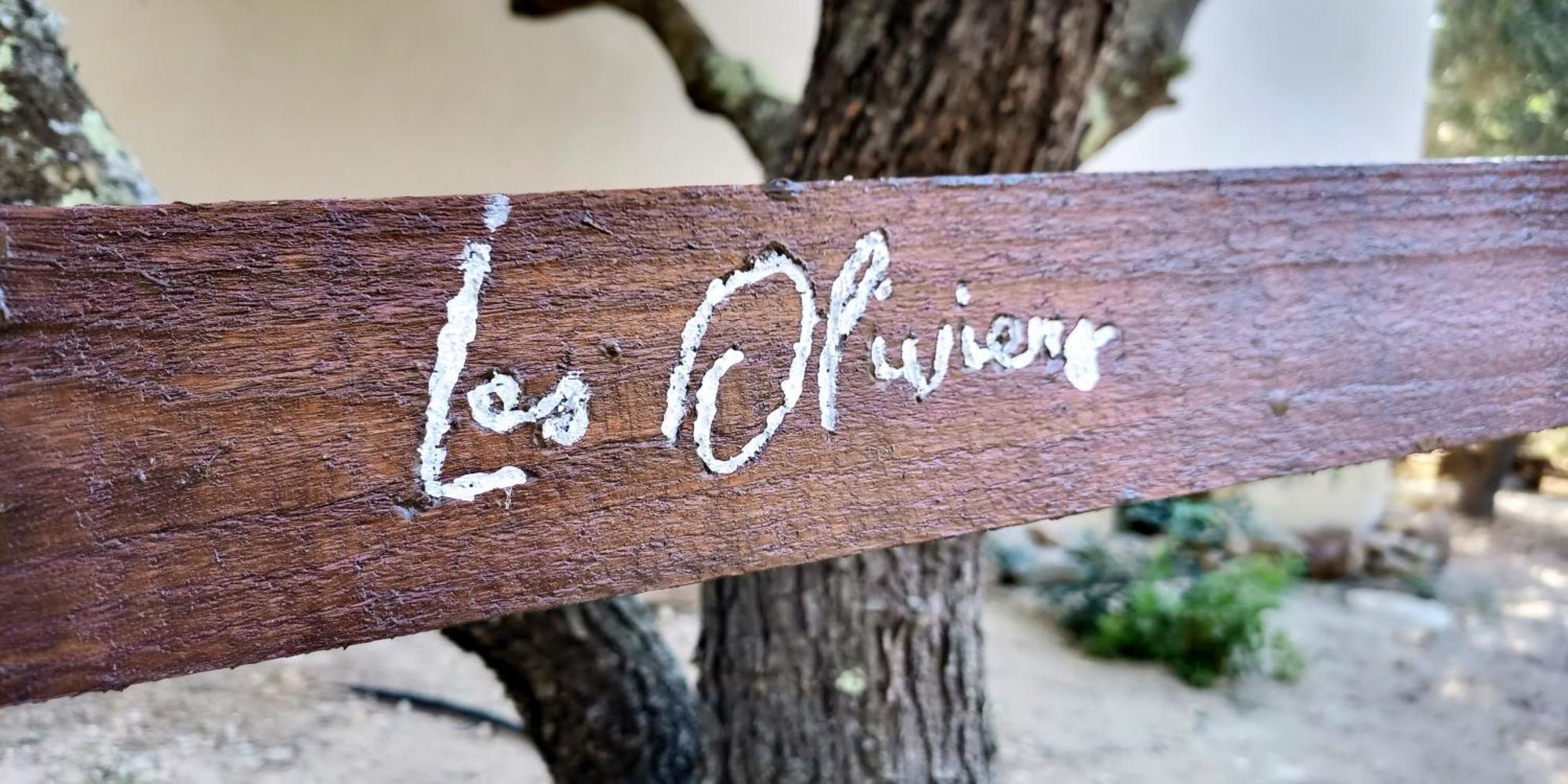 Willa Les Jardins De Foata Barbaggio Zewnętrze zdjęcie