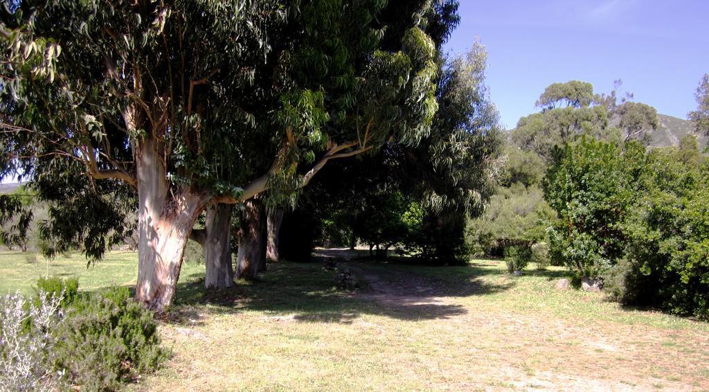 Willa Les Jardins De Foata Barbaggio Zewnętrze zdjęcie