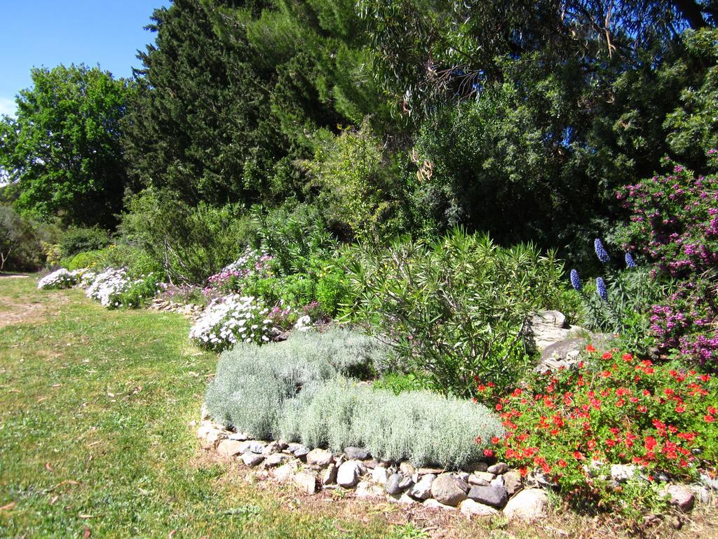 Willa Les Jardins De Foata Barbaggio Zewnętrze zdjęcie