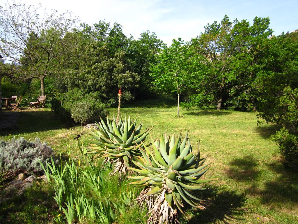 Willa Les Jardins De Foata Barbaggio Zewnętrze zdjęcie