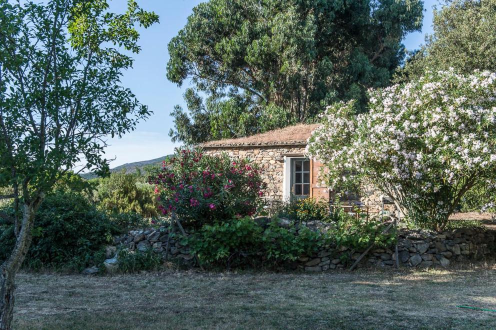Willa Les Jardins De Foata Barbaggio Zewnętrze zdjęcie