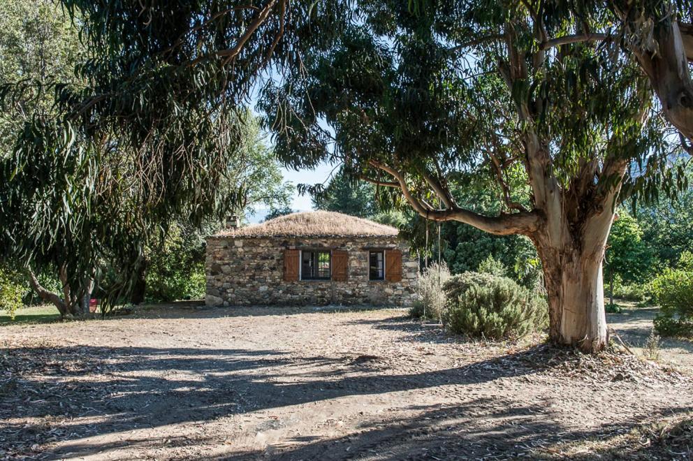 Willa Les Jardins De Foata Barbaggio Zewnętrze zdjęcie