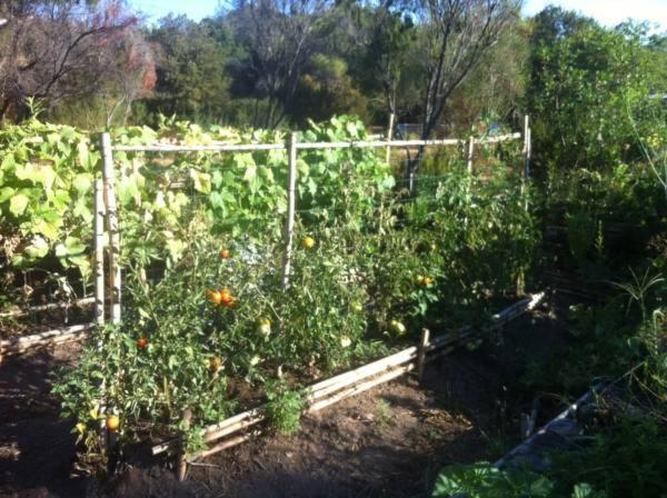 Willa Les Jardins De Foata Barbaggio Pokój zdjęcie
